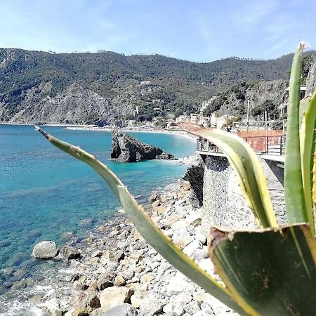 Nel Cuore Di Monterosso Cinque Terre Orto Di Ciack Monterosso al Mare Zewnętrze zdjęcie