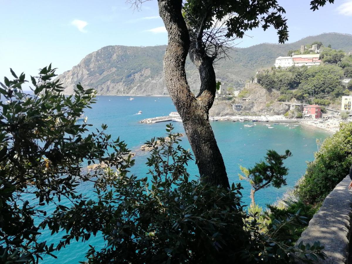 Nel Cuore Di Monterosso Cinque Terre Orto Di Ciack Monterosso al Mare Zewnętrze zdjęcie